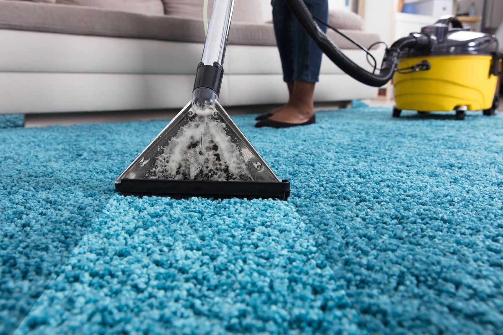 Professional Carpet and Furniture Cleaning in Miami-Dade